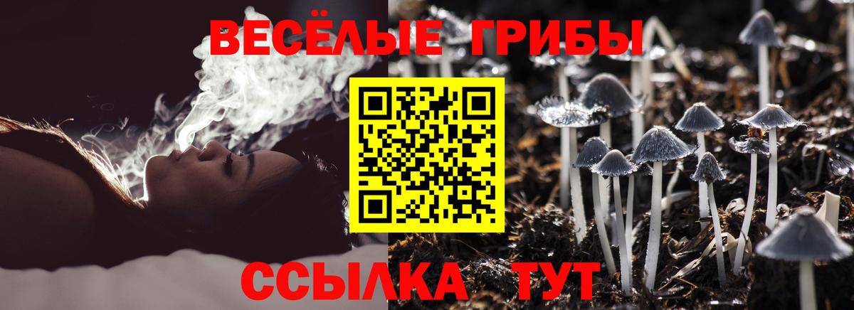 Галлюциногенные грибы Magic Shrooms  Вход с VPN  Луховицы 